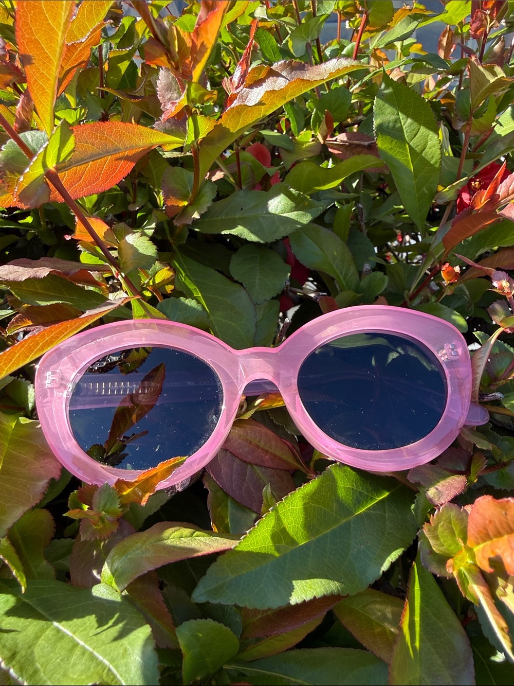 Prive Revaux Morningside Sunglasses